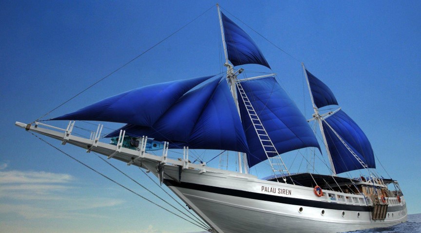 扬帆出海！FH至尊集团之家数字化新征程