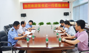 热烈迎接张书记一行光临FH至尊集团之家安徽分公司岳阳长江东路店调研领导！