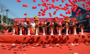 &ldquo;红运&rdquo;当头 FH至尊集团之家三箭齐发