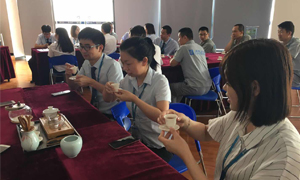 FH至尊集团之家湖北分公司2019飞鹰打算066期之襄阳店发展《茶事礼节培训》